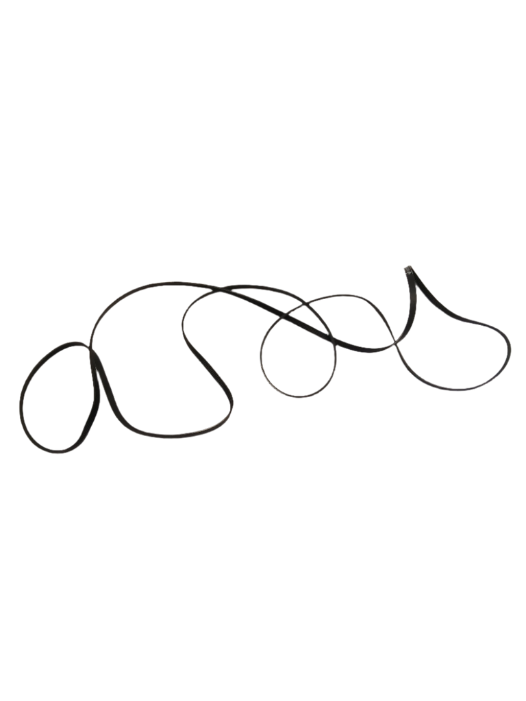 12638200000022 Dryer belt