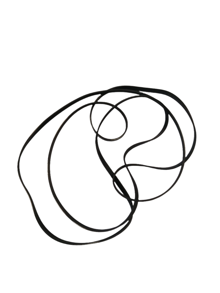 12638200000022 Dryer belt