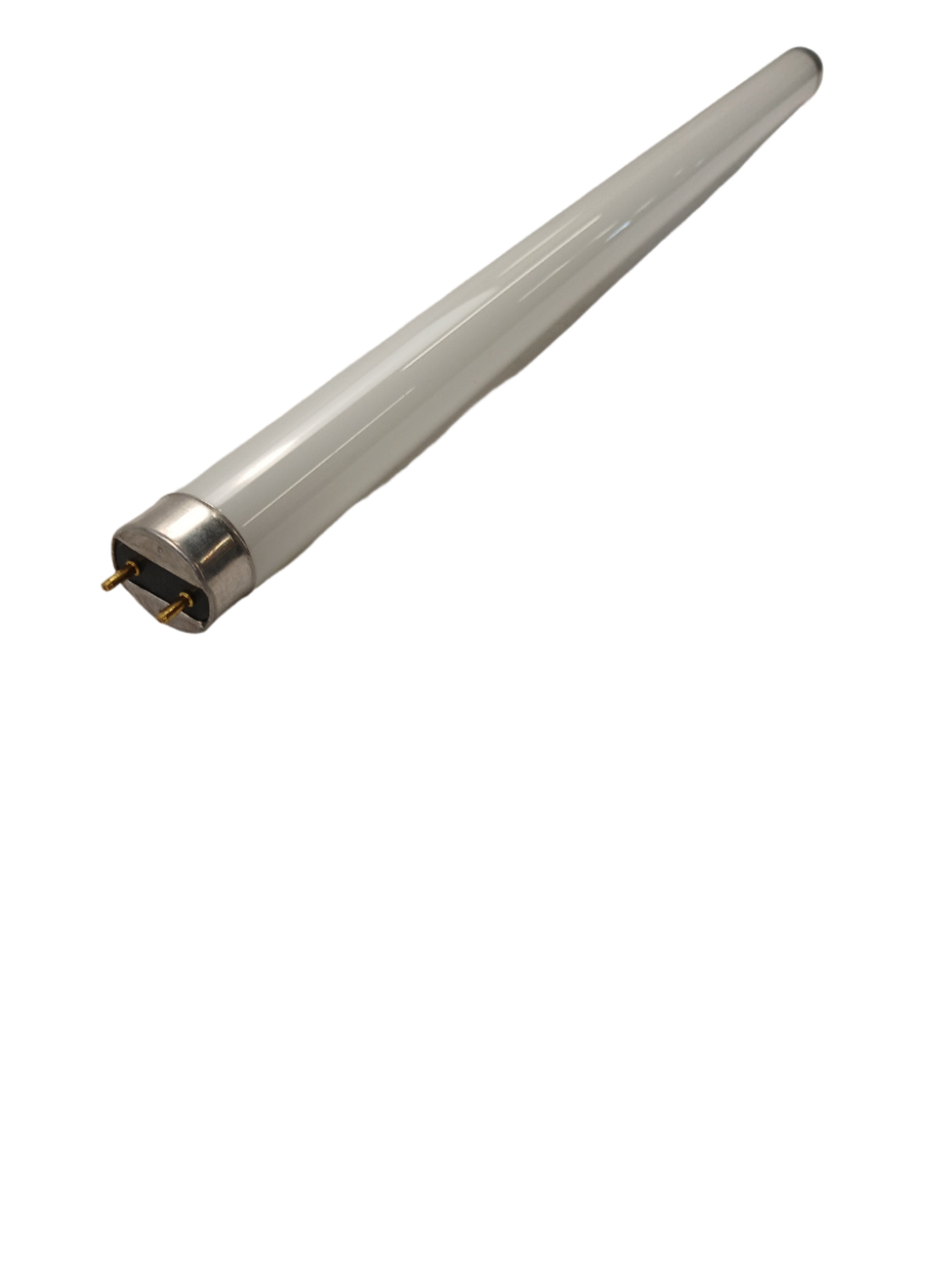 15W T8 Linear Fluorescent Lamp, 18", 4100K
