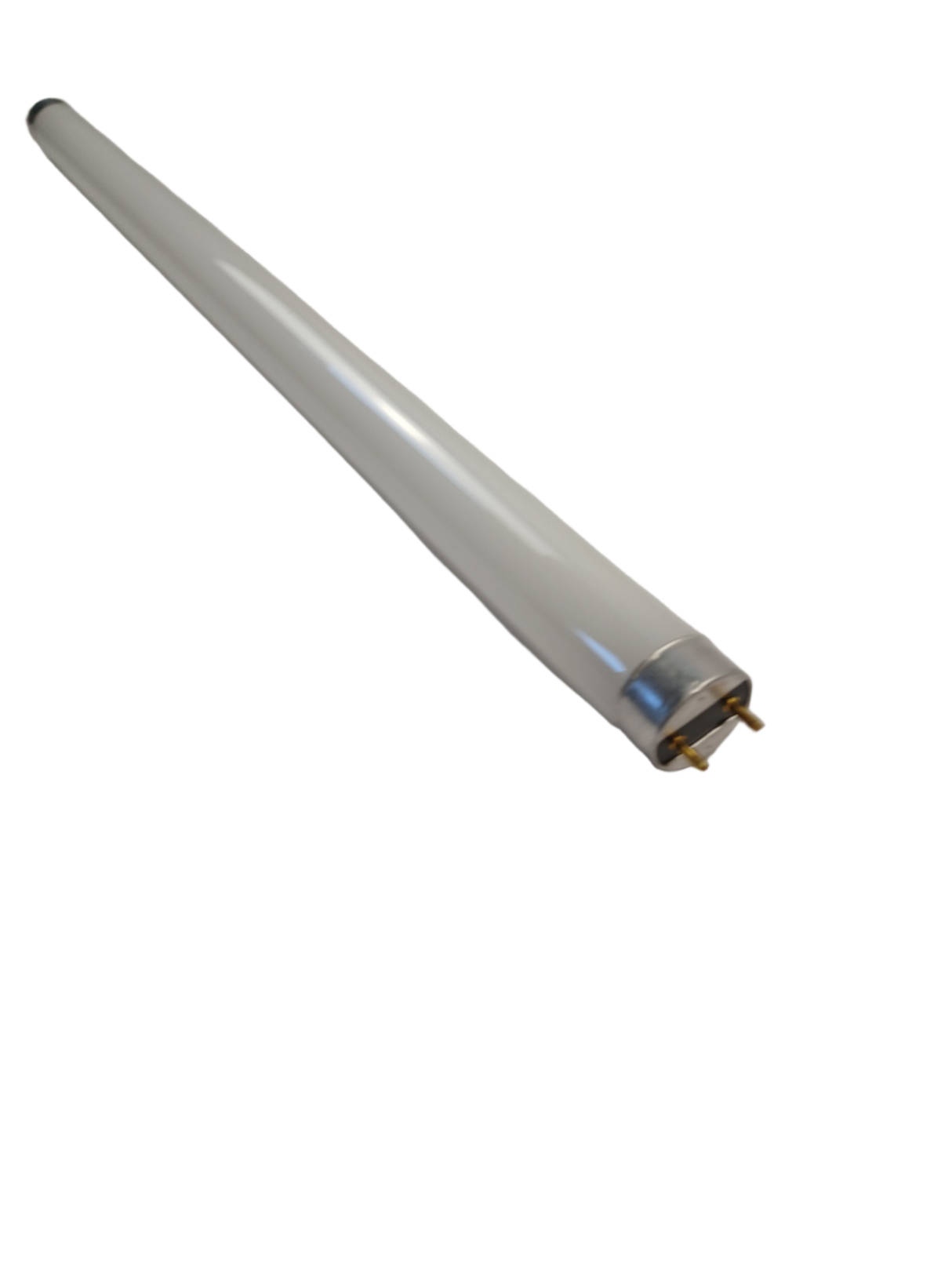 15W T8 Linear Fluorescent Lamp, 18", 4100K