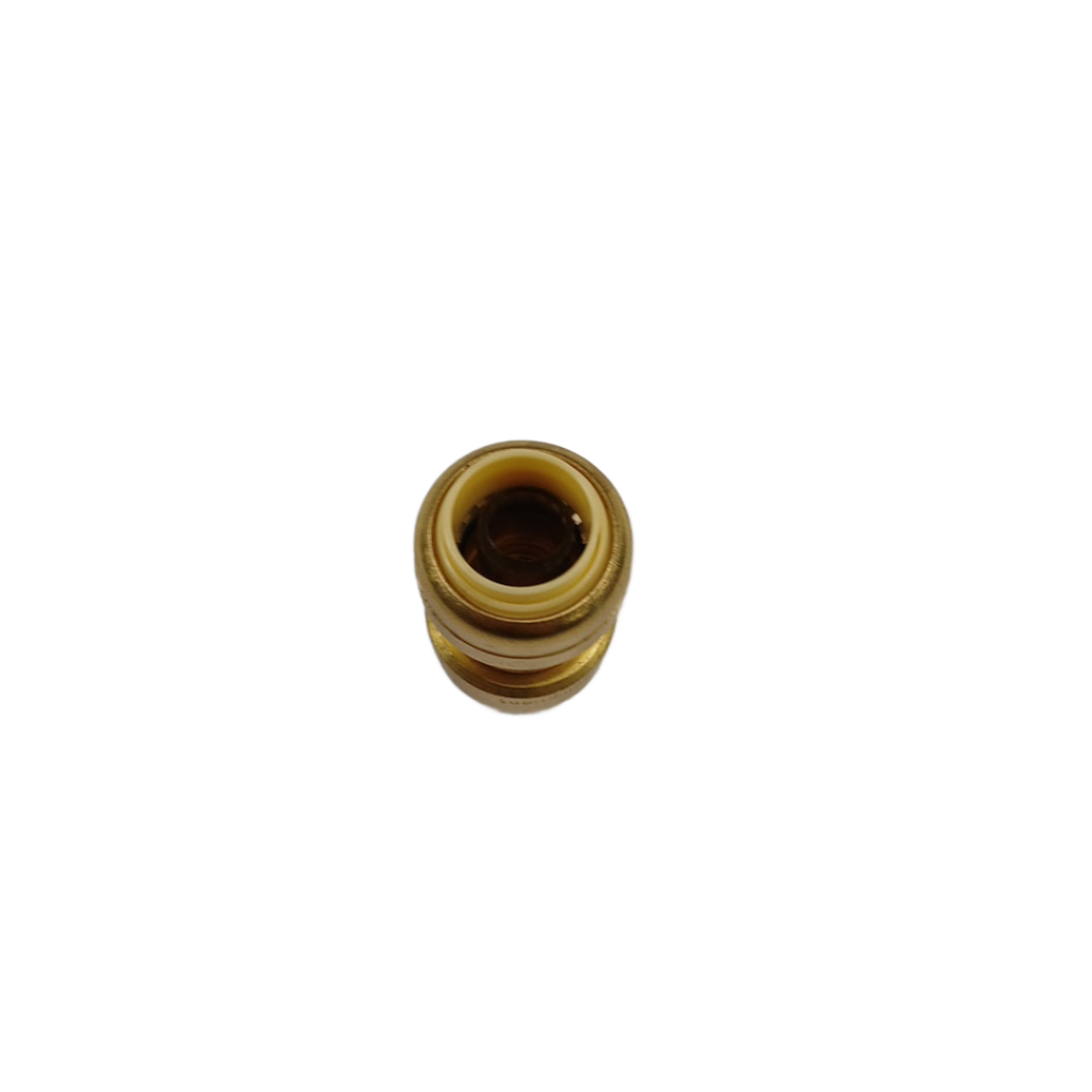 773638922036 Brass Coupling Manchon - XPart Supply