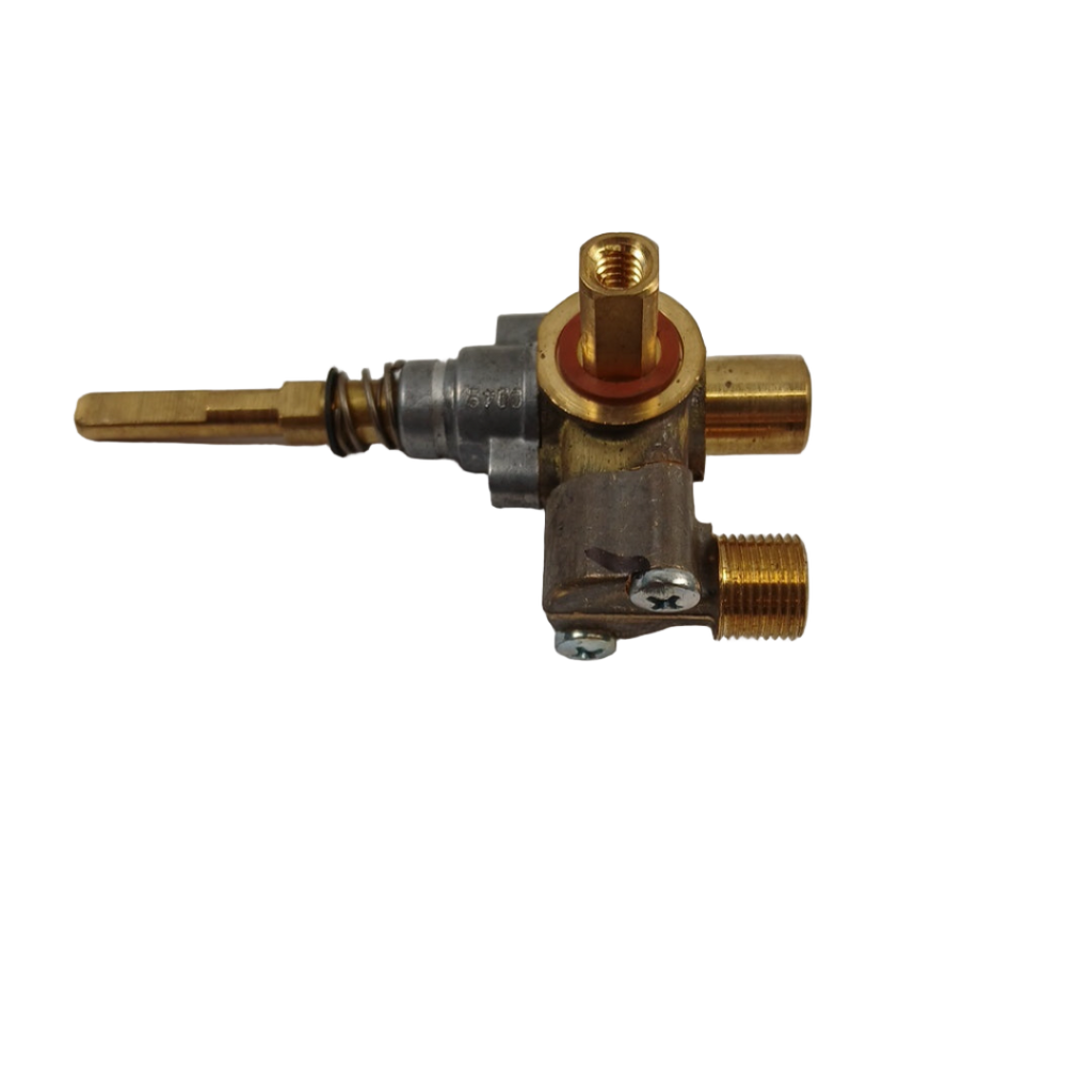 WS01F03891 Range Oven Dual Burner Gas Valve - XPart Supply