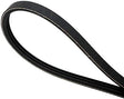 XP295 Dryer Drive Belt - XPart Supply