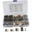 Assorted Spire Clips Captive Fasteners Flange Self Tapping Screws Kit - XPart Supply