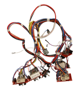 WS01F09493 Oven Switch Assy