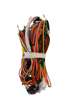 WW02F01022 Dryer Harness Assembly (replaces WW02F00715, 234D2543G017)