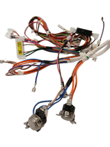 WW03F00558 Dryer Main Wire Harness