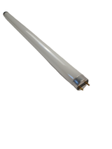 15W T8 Linear Fluorescent Lamp, 18", 4100K