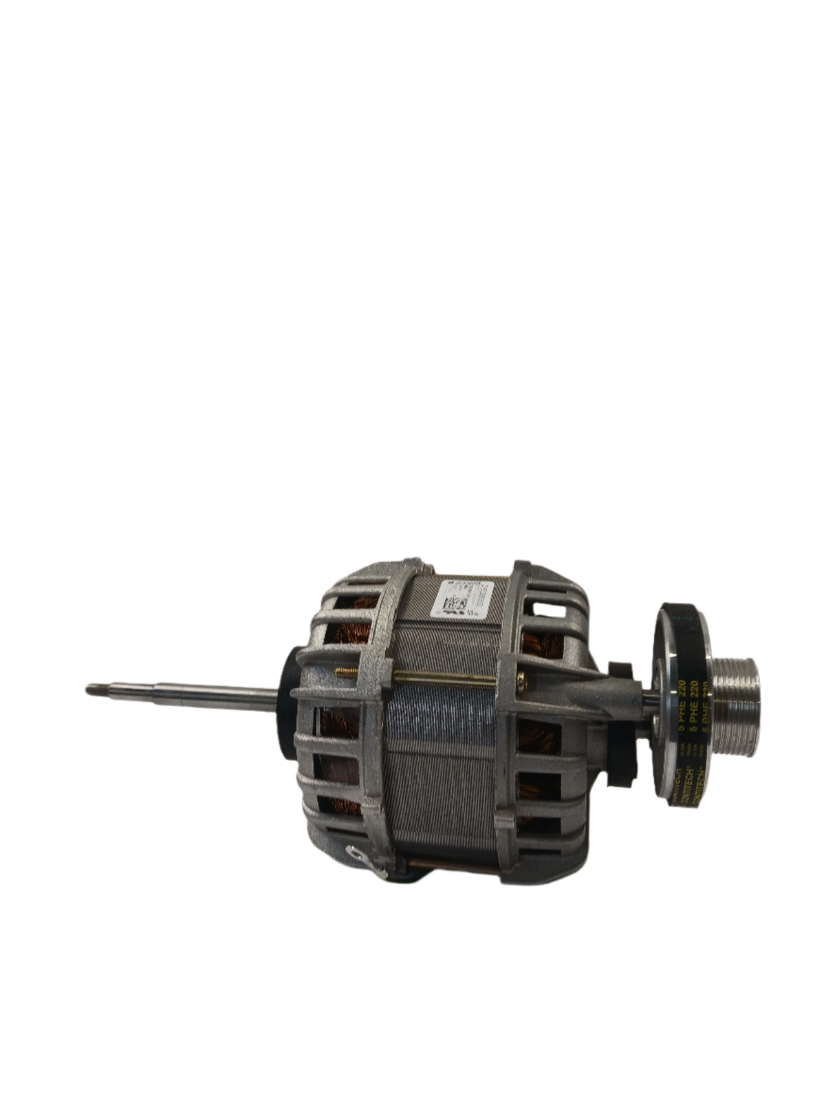 2953880600 Dryer Motor