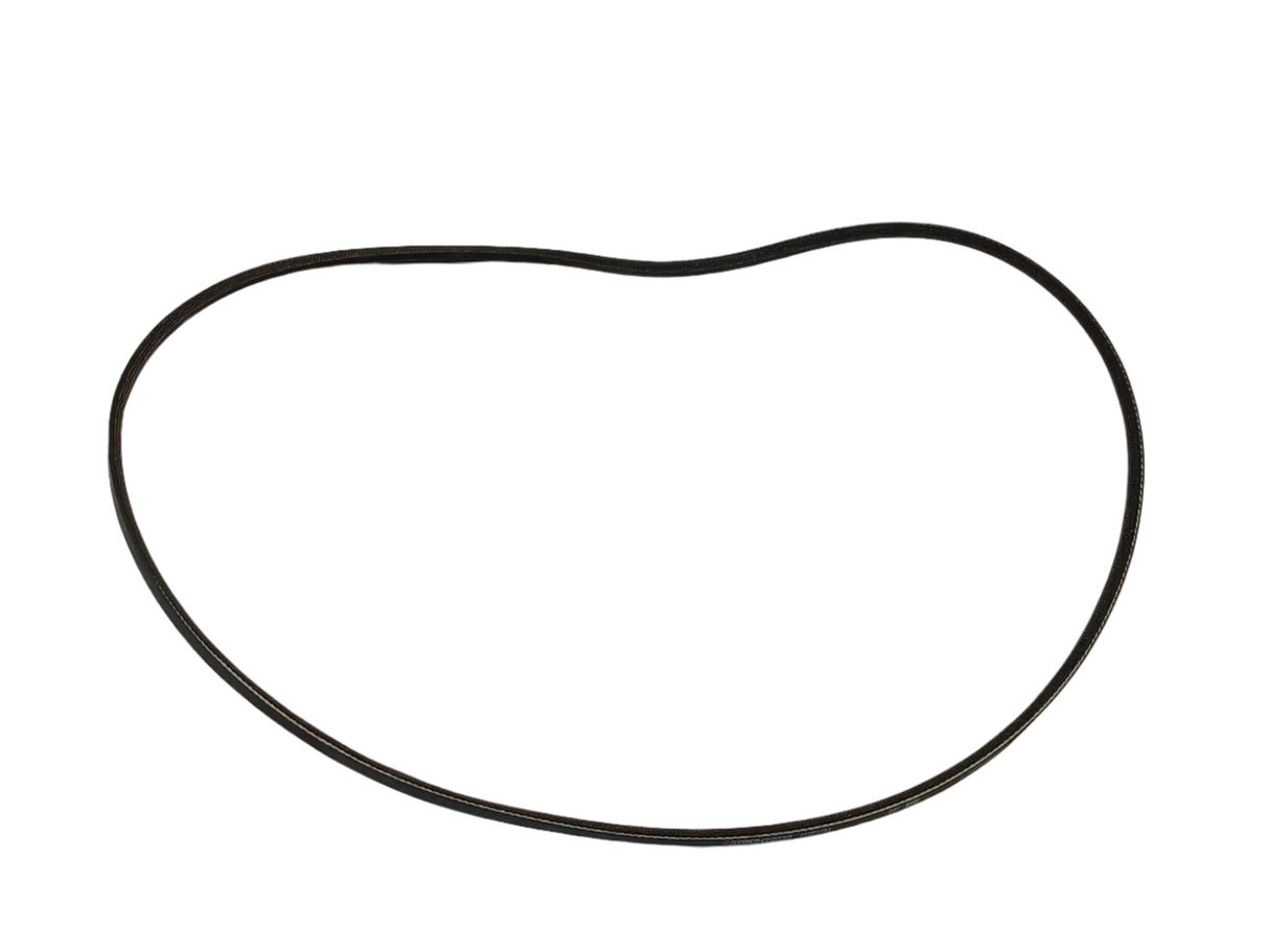 WP20056498 Washer Drive Belt - XPart Supply