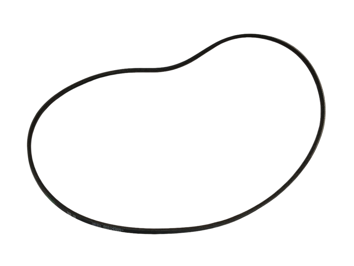 WP20056498 Washer Drive Belt - XPart Supply